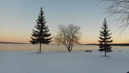 Winter Lake